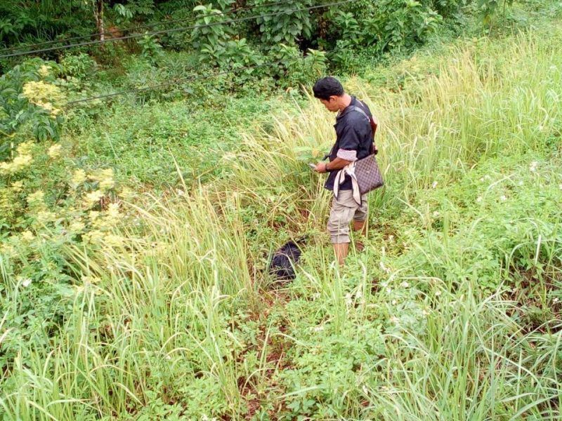 14670598_1251901008208005_9097912251370002231_n