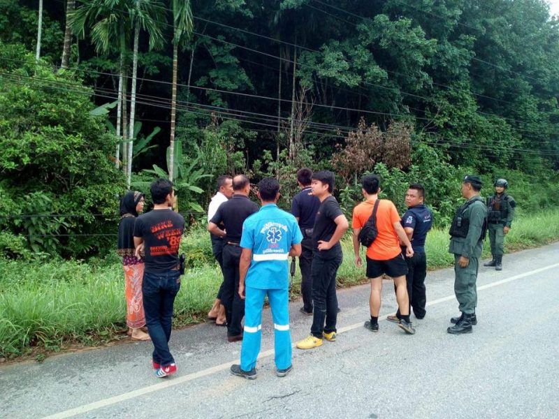 14680590_1251900768208029_1479622281906745386_n