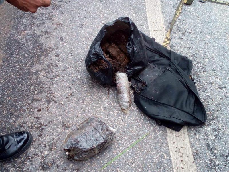 14681712_1251901061541333_8456401005417344774_n