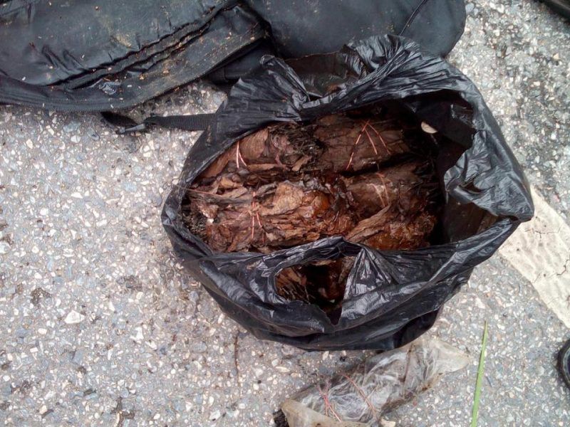 14695328_1251901094874663_3622233046100959560_n