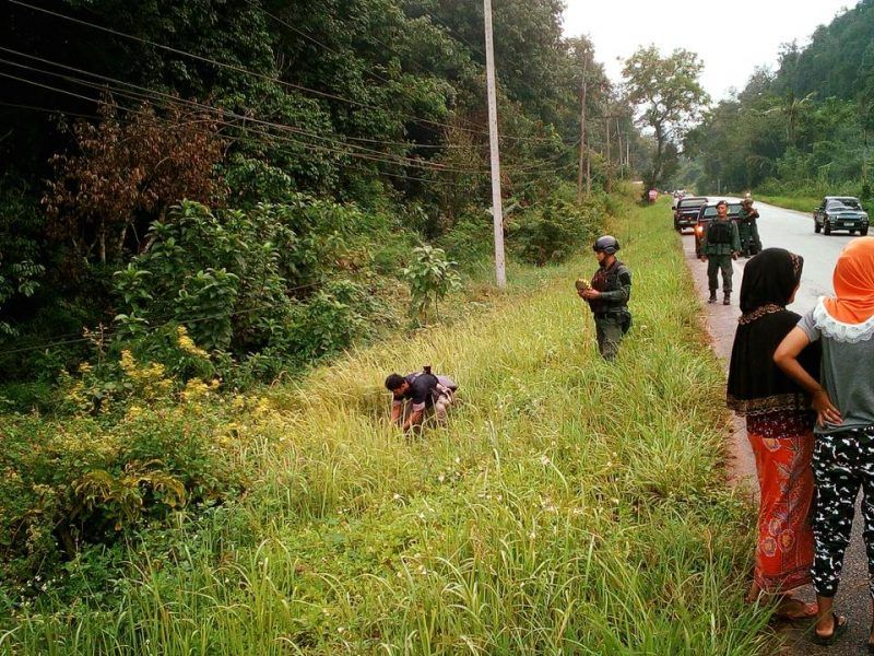 14695539_1251901888207917_4294067430354891389_n